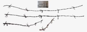 Barbed Wire Png - Barbed Wire