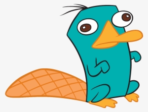 Perry The Platypus