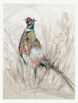 Picture Free Stock Trade Enquiries Stay In Touch - Jpeg