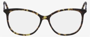 Calvin Klein Glasses 5462