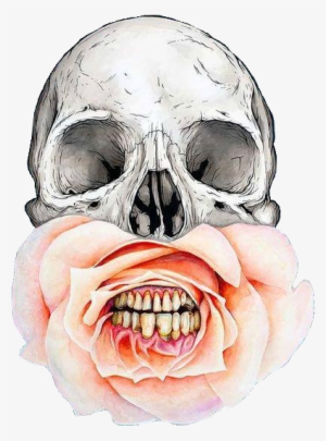 Skull, Flowers, And Rose Image - Skulls Flowers