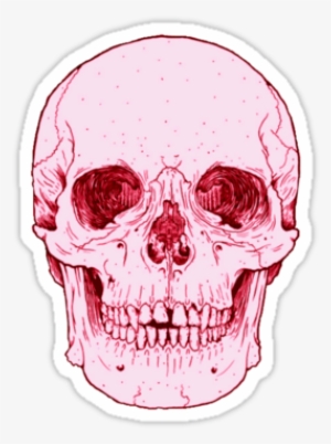 Tumblr Stickers - Anatomically Correct Skull Outline