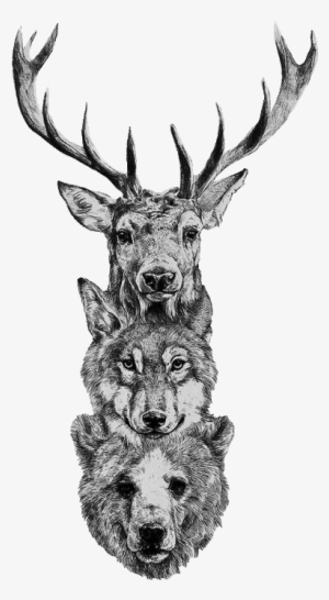 Free Deer Skull Png - Deer Wolf Bear Tattoo