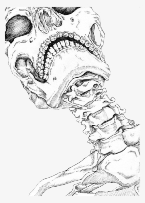 Drawn Bones Transparent - Human Neck Bone Drawing