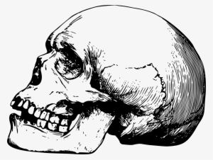 Simple Skull Png - Skull Png
