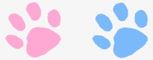 Pink Clipart Paw Print - Blue And Pink Paws