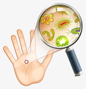 Seems Human, Right Look At It With A Microscope, Though, - Bacteria In Your Hand