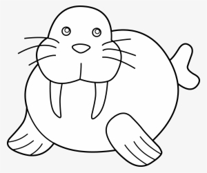 Clipart Info - Walrus Clipart Black And White