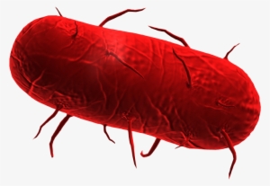 Plague Inc Bacteria - Plague Inc.