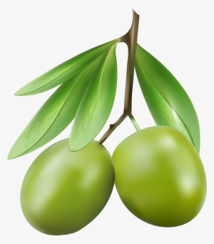 Hand Painted Olives Watercolor Clipart - Portable Network Graphics