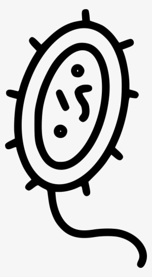 Bacteria Comments - Antimicrobial