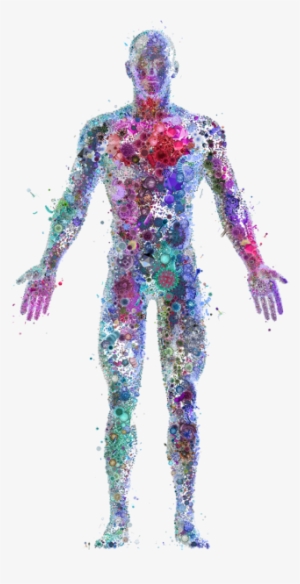 Human Virome
