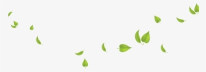 Green Leaves Transparent Background - Leaves Background Png