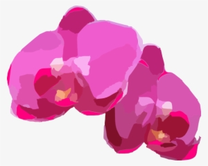 Banner Black And White Pink Orchids Clip Art At Clker - Vector Image Orchid Png