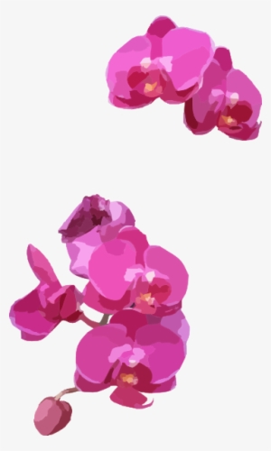 Small - Pink Orchid Clipart
