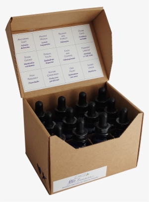 Original 12 Andean Orchids - Orchids