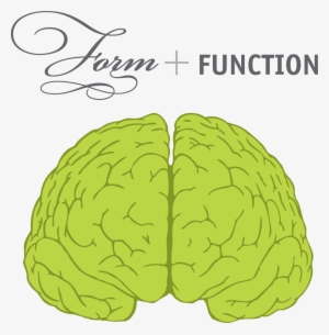 Boom Shaka - Brain Front View