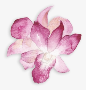 Displays, Seminars And Sales - South Coast Plaza