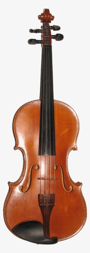 Over 40 Years Of Experience Specializing In Violin, - Ming Jiang Zhu Violin