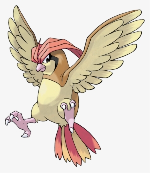 Pidgeotto - Pokemon Pidgeotto