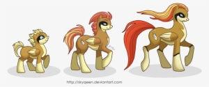 Mysweetqueen, Evolution Chart, Pegasus, Pidgeot, Pidgeotto, - Full Evolution Of Pidgey