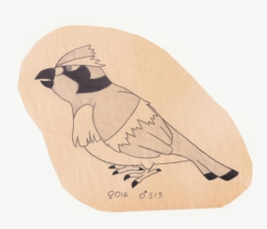 Clip Art Free Library The Pokemon Ornithologist Pidgey - Drawing