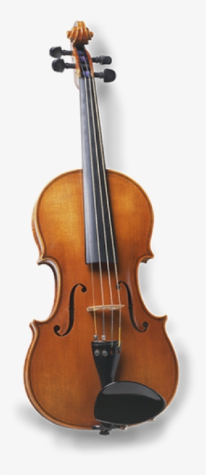 Double Bass Stentor Student Ii
