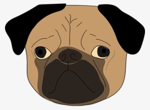 The Pug Puppy Dog Cute Animal Dog Dog Dog - Dog Face Transparent Background