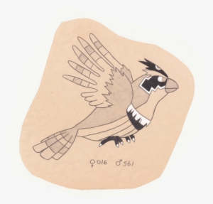 Clip Black And White Download The Pokemon Ornithologist