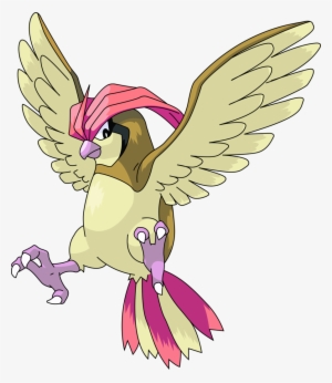 Image - Pokemon Pidgeotto