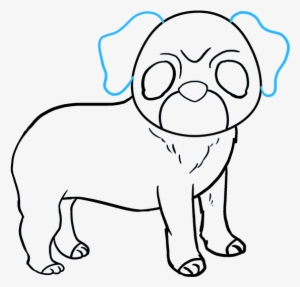 How To Draw Pug - Drawing