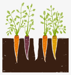 Carrot Cache Is A Non-profit Organization That Supports - Woodland Park Farmers Market