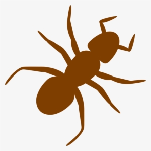 Brown Ant Svg Clip Arts 600 X 600 Px