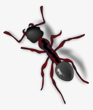 Free Png Ant Png Images Transparent - Ant Clip Art