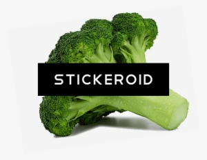 Broccoli Large - Broccoli