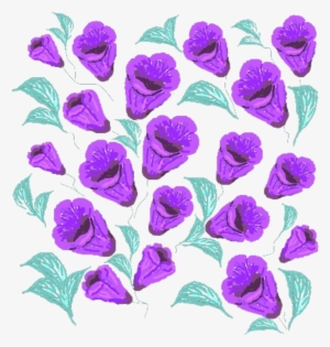 Purple Flowers - Viola