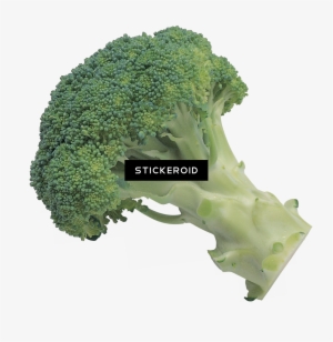 Broccoli - Broccoli Transparent Background