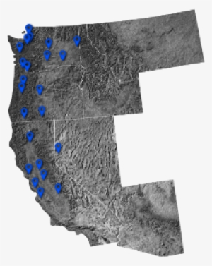 Pepe Poggers Png Discord Emoji - Number