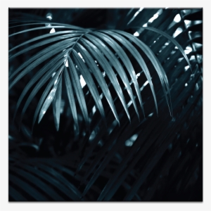 Silver Fern - Catering