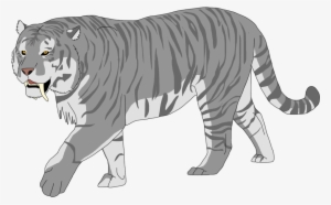 Snosabel Tiger - Siberian Tiger