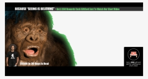 Bigfoot - Taco
