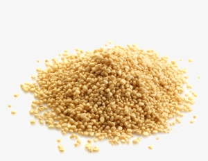 Gold - Mustard Seeds