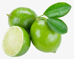 Citrus Aurantifolia