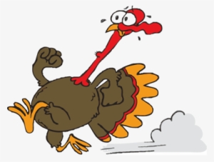 Running Turkey