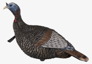 Flextone 1/4-strut Thunder Jake Decoy