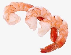 Shrimps Png - Shrimp Transparent