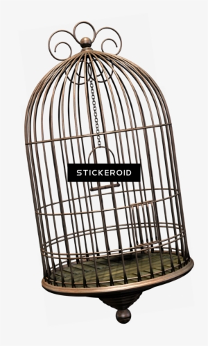 Cage Bird Objects - Bird Cage Png