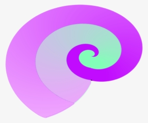 Seashell - Circle
