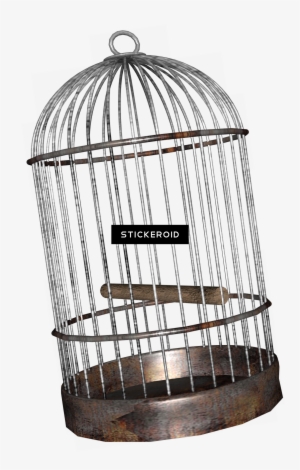 Cage Bird Objects