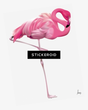 Flamingo - Flamingo Yard